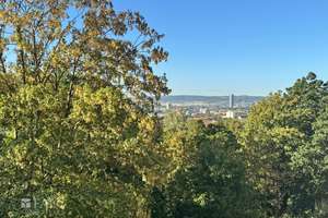 3-Raum-Wohnung mit guter Anbindung, herrlichem Ausblick und günstigem Preis (Kaufpreisfaktor 18,62!) – Die vollständige Adresse der Immobilie erhältst du vom Anbieter., 7743 Jena-Nord, Jena – Vorschaubild 9