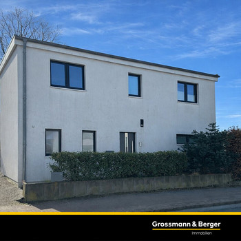 Modernes Einfamilienhaus mit Kamin