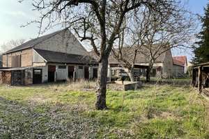 Tierliebhaber aufgepasst – Die vollständige Adresse der Immobilie erhältst du vom Anbieter., 4924 Uebigau-Wahrenbrück – Vorschaubild 15