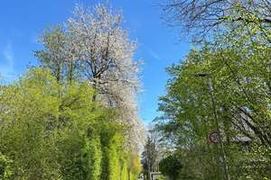 Einmalige Gelegenheit in Premiumlage  
in Stiepel – Die vollständige Adresse der Immobilie erhältst du vom Anbieter., 44797 Stiepel, Bochum – Vorschaubild 47