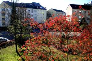 Stilvolle,  2-Zimmer-Wohnung mit Balkon und EBK in Moosach, München – Koblenzer Straße 3, 80993 Alt-Moosach, München – Vorschaubild 12