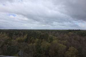 Helle ETW über den Dächern der Waldstadt – Elbinger Str 2b, 76139 Waldstadt, Karlsruhe – Vorschaubild 10