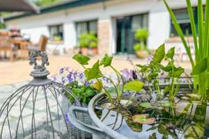 EFH mit überdachtem Pool in Alleinlage // Rügen // Großer Garten // Preis-Leistungs-Highlight – Rügen (Kreis) – Vorschaubild 25