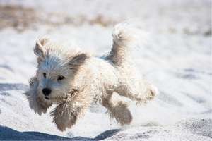 Property thumbnail 10