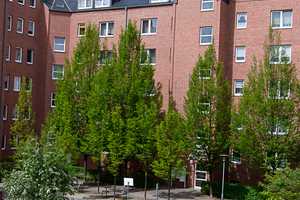Wohnung mit Parkett und Balkon - großer grüner Innenhof - Einbauküche möglich – Further Straße 16, 9113 Chemnitz – Vorschaubild 2