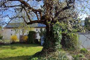 Familien(t)raum mit herrlichem Garten in Nürnberg – Die vollständige Adresse der Immobilie erhältst du vom Anbieter., 90475 Altenfurt Nord, Nürnberg – Vorschaubild 14