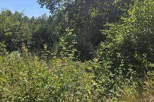Doppelhaushälfte - gute Lage - ca.120m² Wohnfläche - ca. 500m² Grundstück – Die vollständige Adresse der Immobilie erhältst du vom Anbieter., 66128 Gersweiler, Saarbrücken – Vorschaubild 5