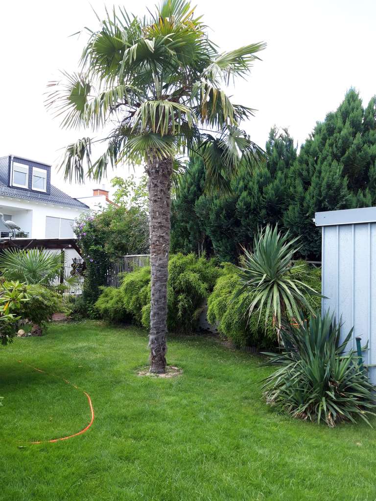 Rodgau Jügesheim:Freistehendes Zweifamilienhaus für  Großfamilien.