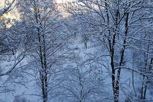 Property thumbnail 16