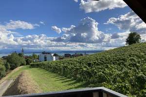 Haus mit traumhafter See-, Alpen-, Fern- und Sternsicht – Die vollständige Adresse der Immobilie erhältst du vom Anbieter., 88709 Meersburg – Vorschaubild 4