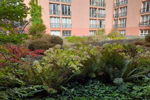 Dachterrasse gemeinschaftl. + franz. Balkon + nähe U-bahn + TG-Stellplatz – Penzstr. 10, 90419 Bielingplatz, Nürnberg – Vorschaubild 7