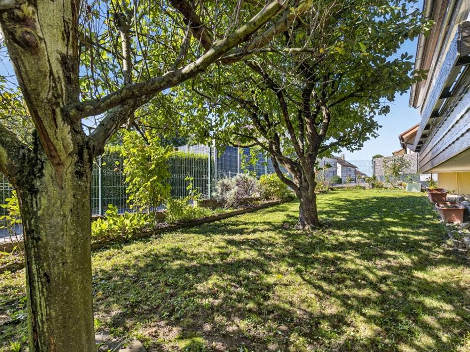 Garten vor dem Haus