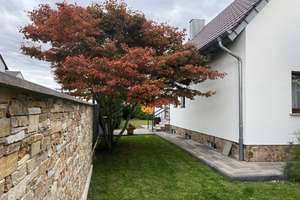 Einfamilienhaus in ruhiger Lage (Eddersheim) – ca. 200 m² Wfl., 700 m² Grundstück, 2018 modernisiert – Die vollständige Adresse der Immobilie erhältst du vom Anbieter., 65795 Hattersheim am Main – Vorschaubild 6