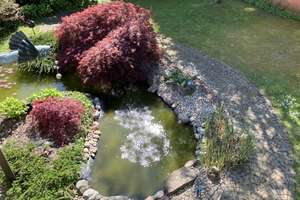 Architektenbungalow in 1a Wohnlage zum Schmölderpark gelegen ! Traumhafter Garten und Terrasse ! – Die vollständige Adresse der Immobilie erhältst du vom Anbieter., 41239 Schmölderpark, Mönchengladbach – Vorschaubild 28