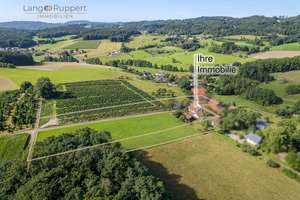 Idyllisches Zweifamilienhaus mit Pferdekoppel, großem Grundstück und grenzenloser Natur – Die vollständige Adresse der Immobilie erhältst du vom Anbieter., 64689 Grasellenbach – Vorschaubild 5