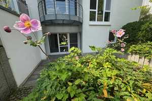 Franz – Bonn – Vorschaubild 34