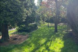 Ideal für Familien! Einfamilienhaus mit großem Garten sucht neue Eigentümer! – Die vollständige Adresse der Immobilie erhältst du vom Anbieter., 45357 Dellwig, Essen – Vorschaubild 5