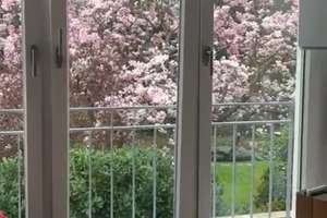 Property thumbnail 18