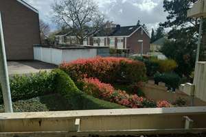 charmante 3-Zimmer-Wohnung in ruhiger Lage von Aachen-Haaren – eine Oase der Ruhe! – Bogenstr. 35, 52080 Haaren, Aachen – Vorschaubild 7