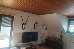 Freistehendes Wohn- und Geschäftshaus in Überherrn-OT zu verkaufen – Saarlouis (Kreis) – Vorschaubild 3