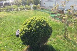 Property thumbnail 30