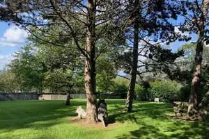 Ferienhaus in Waldrandlage mit traumhaftem Fernblick! – Trier-Saarburg (Kreis) – Vorschaubild 2