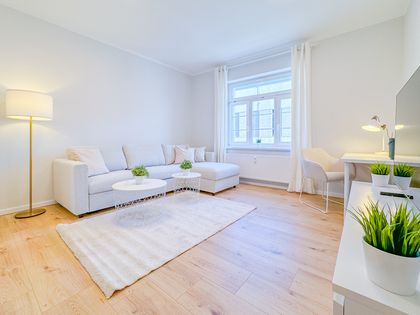 Möbliert 1-Zimmer Apartment mit high quality Terrasse in Dresden-Neustadt