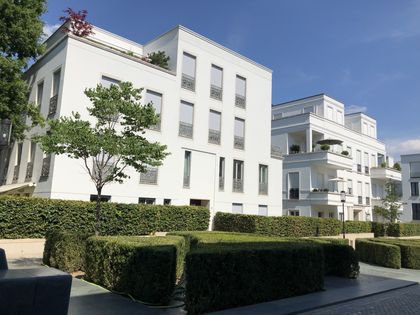 2 2 5 Zimmer Wohnung Zur Miete In Hohenfelde Immobilienscout24