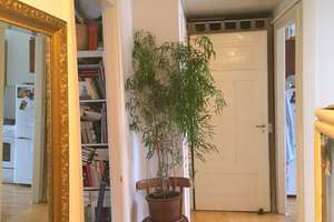 Sonnige 2-Zimmer DG Wohnung im Rheingauviertel von Privat – Rauenthaler Straße 24, 65197 Rheingauviertel / Hollerborn, Wiesbaden – Vorschaubild 5