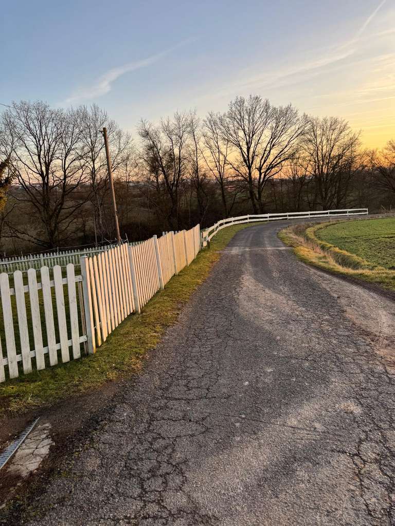Immobilie in Burghaun - Modernes Mehrfamilienanwesen mit Gästehaus, Lagerflächen ~ Ideal für Pferd und Reiter ~ - Bild 1