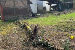 Sanierung oder Umwandlung: historischer Dreiseitenhof mit Bauplatz in WI-Naurod – Die vollständige Adresse der Immobilie erhältst du vom Anbieter., 65207 Naurod, Wiesbaden – Vorschaubild 6