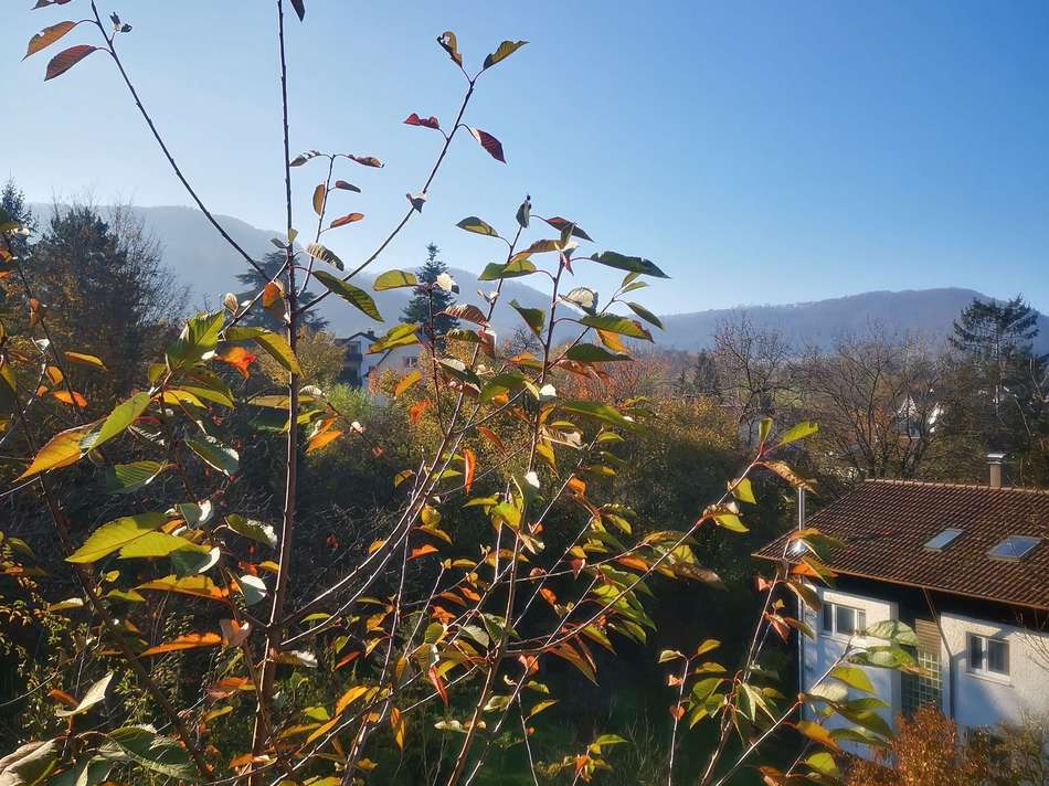 Blick nach Westen