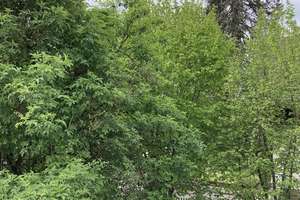 Gemütliche möblierte Wohnung mit Blick ins Grüne – Die vollständige Adresse der Immobilie erhältst du vom Anbieter., 81479 Solln, München – Vorschaubild 18