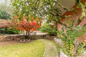 Property thumbnail 21