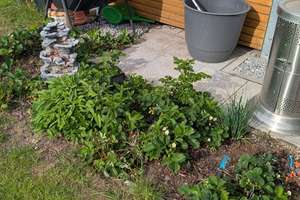Moderne Gartenwohnung mit KfW55-Standard, Carport & E-Ladestation – Erstklassiges Wohnen in Fürth – Bisloher Hauptstraße 19, 90765 Sack, Braunsbach, Bislohe, Steinach, Fürth – Vorschaubild 14