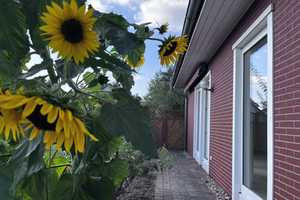 Klein, aber oho! Gepflegter Bungalow mit Carport + neuer EBK in idyllischer Dorfrandlage – Gifhorn (Kreis) – Vorschaubild 7