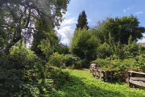 Bungalow in MG – zentrumsnah, dennoch abgeschieden vom Lärm der Stadt – umgeben von Natur pur – Klagenfurter Straße 9-11, 41063 Am Wasserturm, Mönchengladbach – Vorschaubild 24