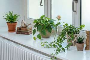 Modern, gepflegt und sofort bezugsfrei – 2-Zimmer-Wohnung mit Terrasse und toller Küche – Die vollständige Adresse der Immobilie erhältst du vom Anbieter., 14167 Lichterfelde, Berlin – Vorschaubild 21