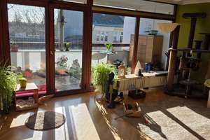 Bezugsfrei ab August 2026-Tolle 5,5 Zi.-Maisonette Whg. sucht..... – Vionvillestrasse 12, 12167 Steglitz, Berlin – Vorschaubild 8