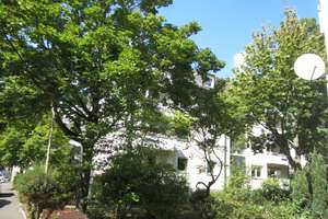 Im Herzen von Hombruch und alle TippiToppi! – Kuntzestr. 87, 44225 Hombruch (Ortsteil), Dortmund – Vorschaubild 2