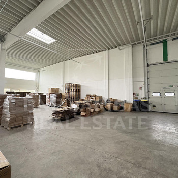 LICHTDURCHFLUTETE HALLENFLÄCHE | STARKSTROM | REPRÄSENTATIV | BNP