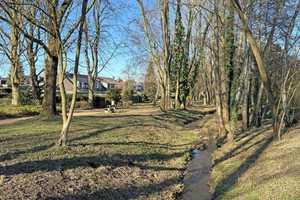 Bungalow in Hürth-Gleuel sucht neue Bewohner, die ihn modernisieren und es lieben, hier zu leben! – Rhein-Erft-Kreis – Vorschaubild 20