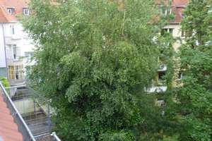 Wohnung in guter zentraler Lage! Hannover Südstadt/Mitte – Marienstraße 40, 30171 Südstadt, Hannover – Vorschaubild 15