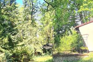 Naturparadies Rheinsberg: Bungalows auf großem Grundstück in Nähe zu zwei wunderschönen Seen – Ostprignitz-Ruppin (Kreis) – Vorschaubild 6