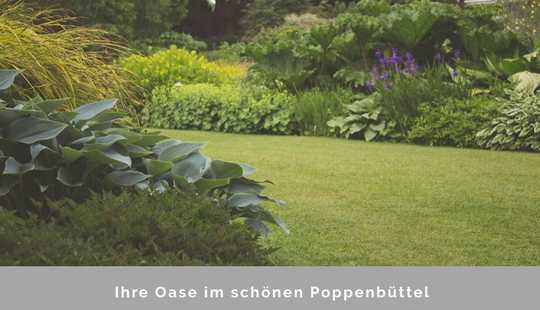 Bild von EINFAMILIENHAUS MIT OFFENER ARCHITEKTUR