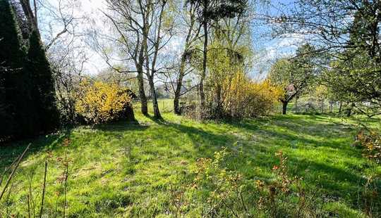 Bild von VON POLL - BAD HOMBURG: Wohnen auf einer Ebene, großzügiger Bungalow in malerischer Feldrandlage!