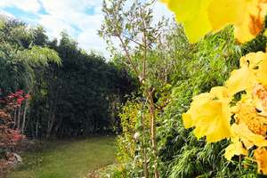 Property thumbnail 17