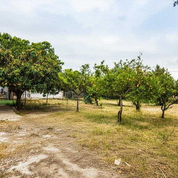 Leben Sie inmitten der Natur neben dem Dorf Doña Blanca