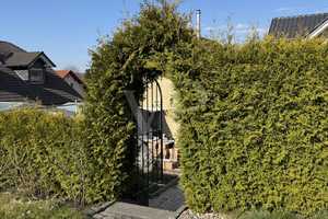 Ihr perfekter Familientraum in Baumholder!!! Einfamilienhaus mit Doppelgarage!!! – Birkenfeld (Kreis) – Vorschaubild 18
