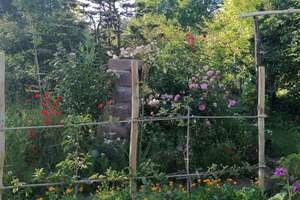 Villa mit 255qm und ELW mit 3966qm Garten in Ortsrandlage – Die vollständige Adresse der Immobilie erhältst du vom Anbieter., 72178 Waldachtal – Vorschaubild 75